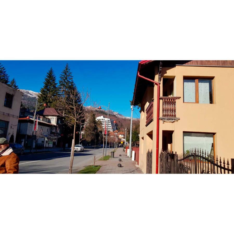 Vaso Apartament Синая Екстериор снимка